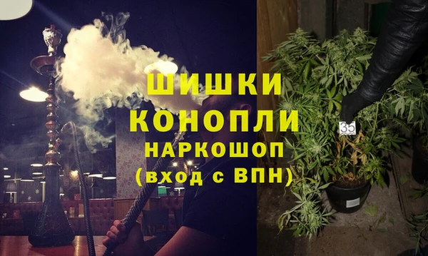 МДПВ Богородицк