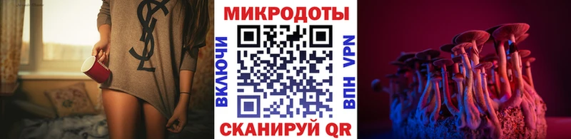 mega онион  Гороховец  Псилоцибиновые грибы мицелий 