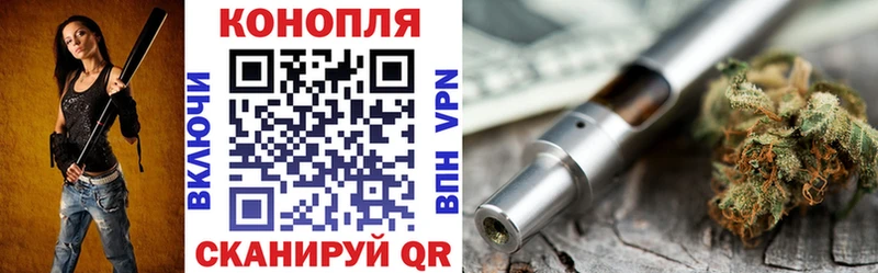 закладки  Гороховец  МАРИХУАНА сатива 